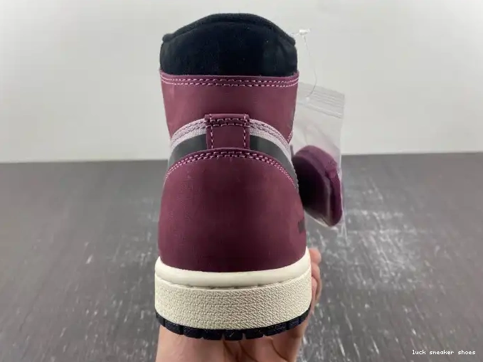 Reps LUCY 1 Gore-Tex Element DB2889-500 Jordan Air 0424